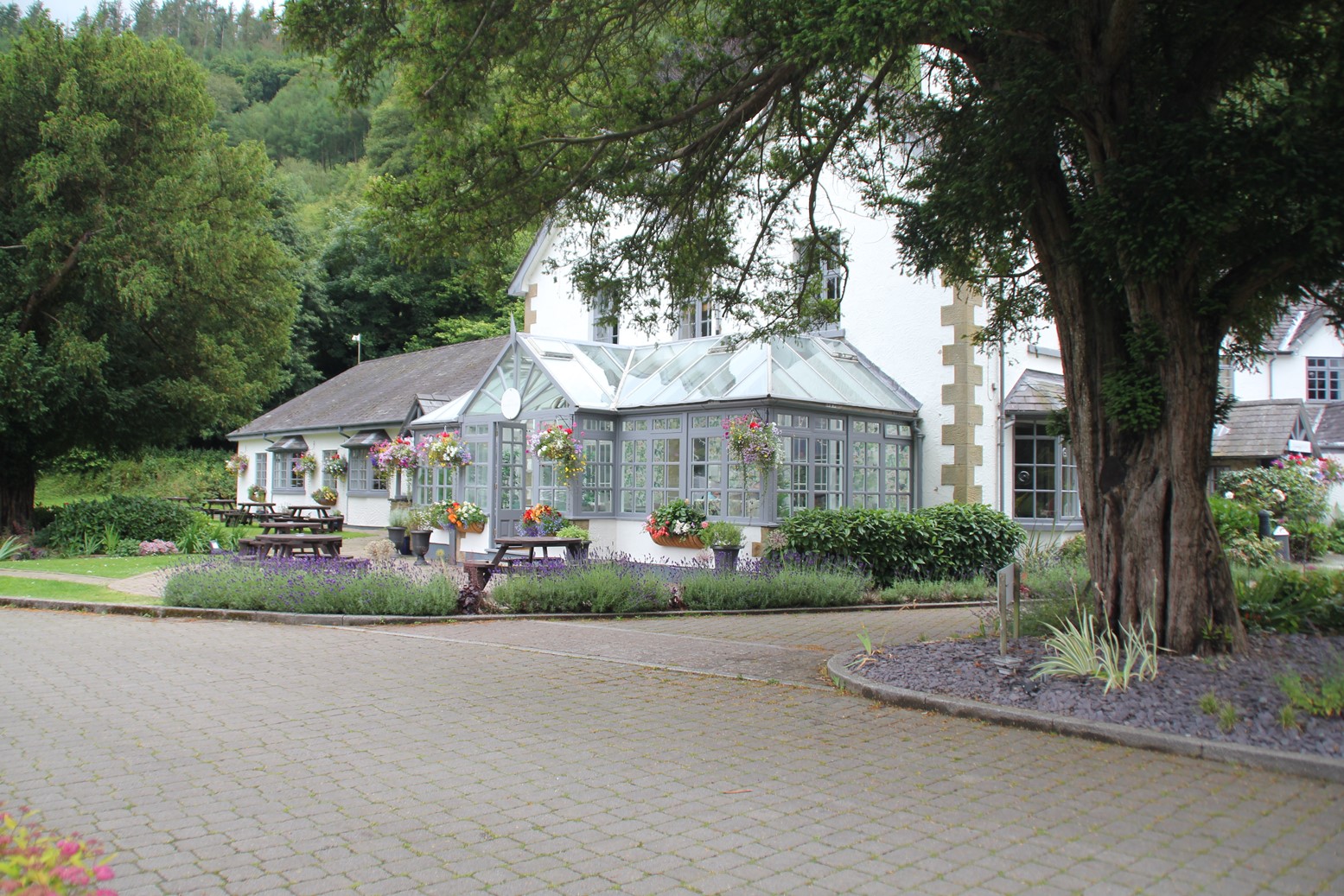 The Wild Pheasant Hotel & Spa